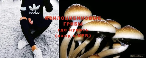 кокс Богданович