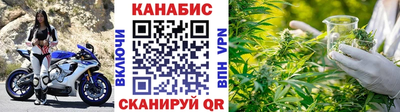 Конопля конопля  Пестово 